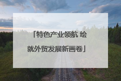 特色产业领航 绘就外贸发展新画卷
